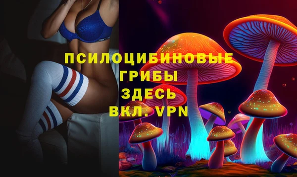 а пвп мука Верея