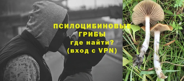 а пвп мука Верея