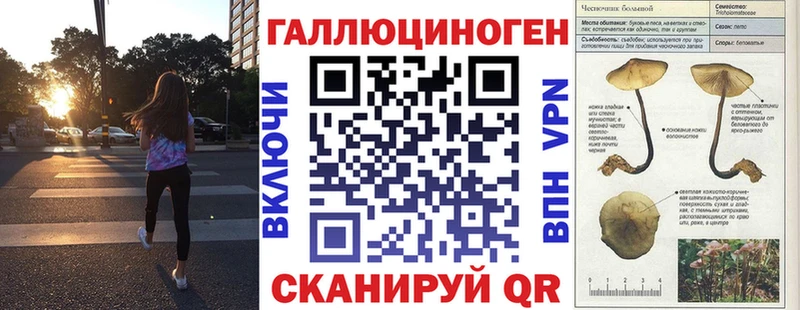 Псилоцибиновые грибы мицелий  OMG   Архангельск  как найти  